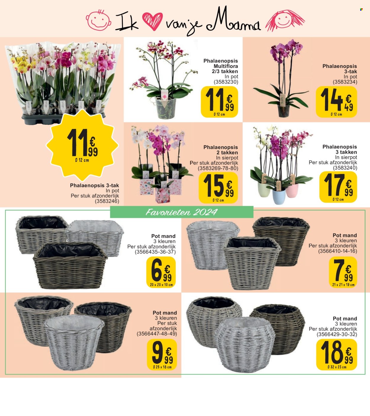 thumbnail - Catalogue Cora - 30/04/2024 - 13/05/2024 - Produits soldés - orchidée. Page 15.