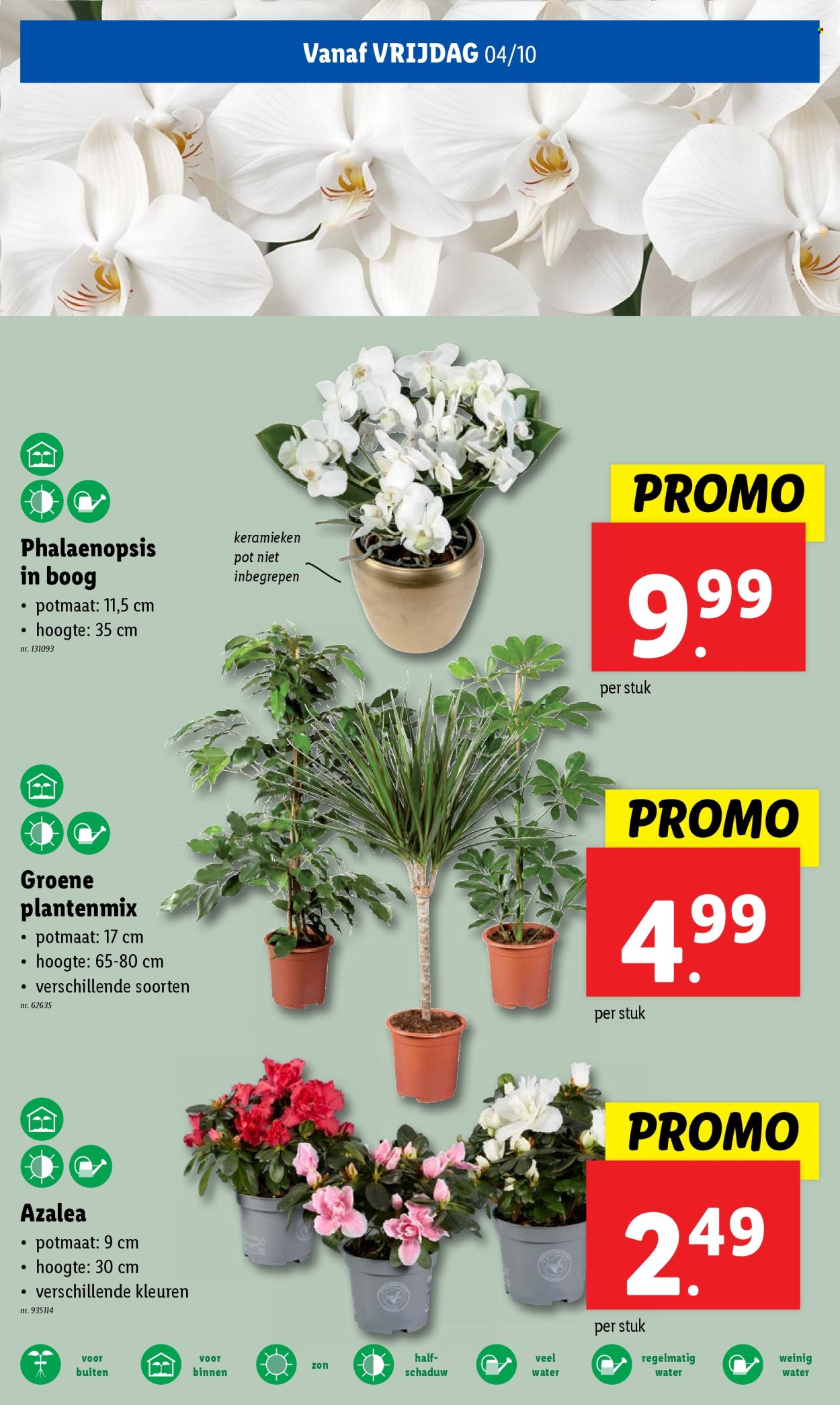 Catalogue Lidl - 02/10/2024 - 08/10/2024. Page 25