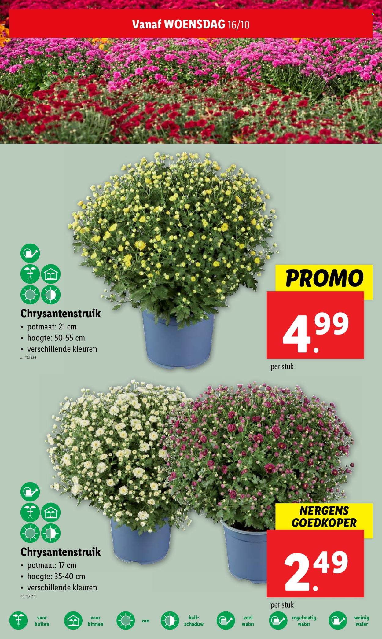 Catalogue Lidl - 16/10/2024 - 22/10/2024. Page 16