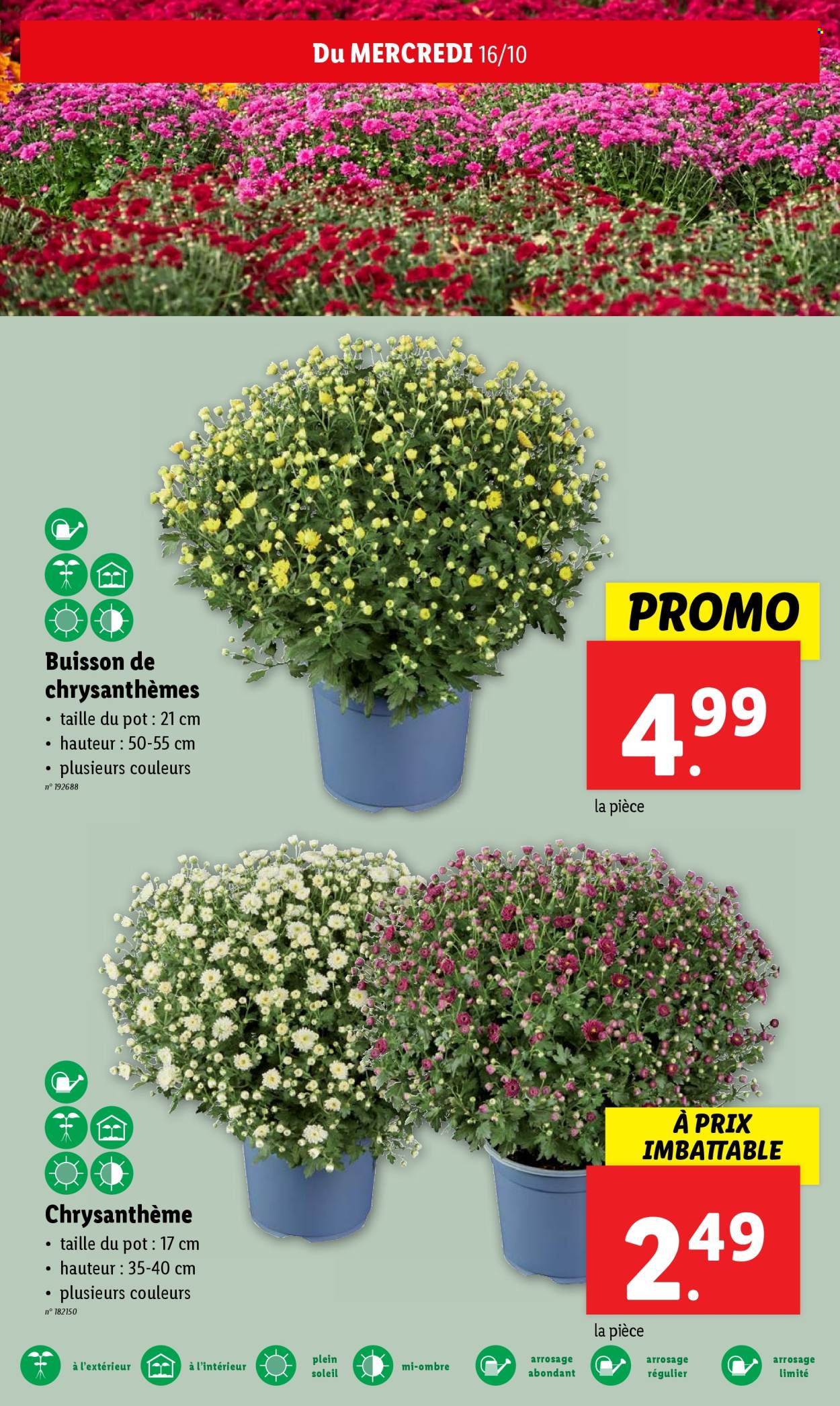 Catalogue Lidl - 16/10/2024 - 22/10/2024. Page 16