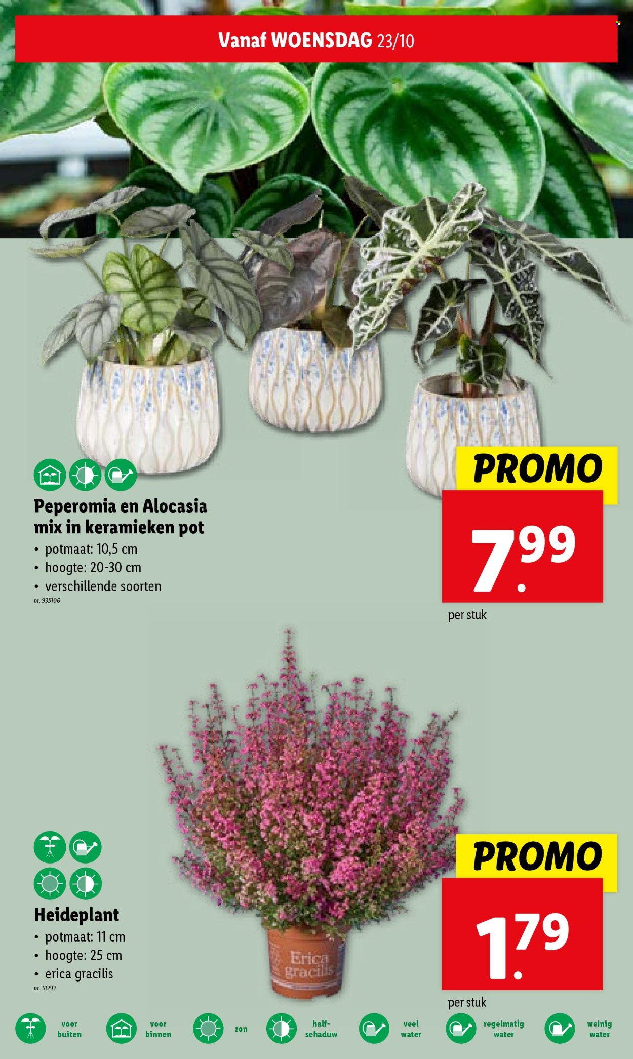 Catalogue Lidl - 23/10/2024 - 29/10/2024. Page 26