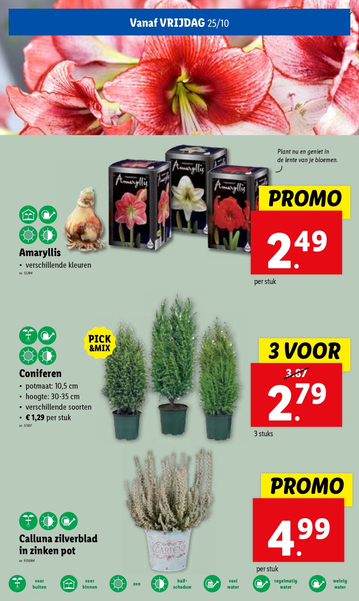 Catalogue Lidl - 23/10/2024 - 29/10/2024. Page 27