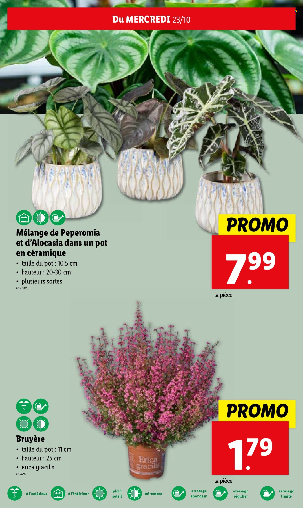 Catalogue Lidl - 23/10/2024 - 29/10/2024. Page 26