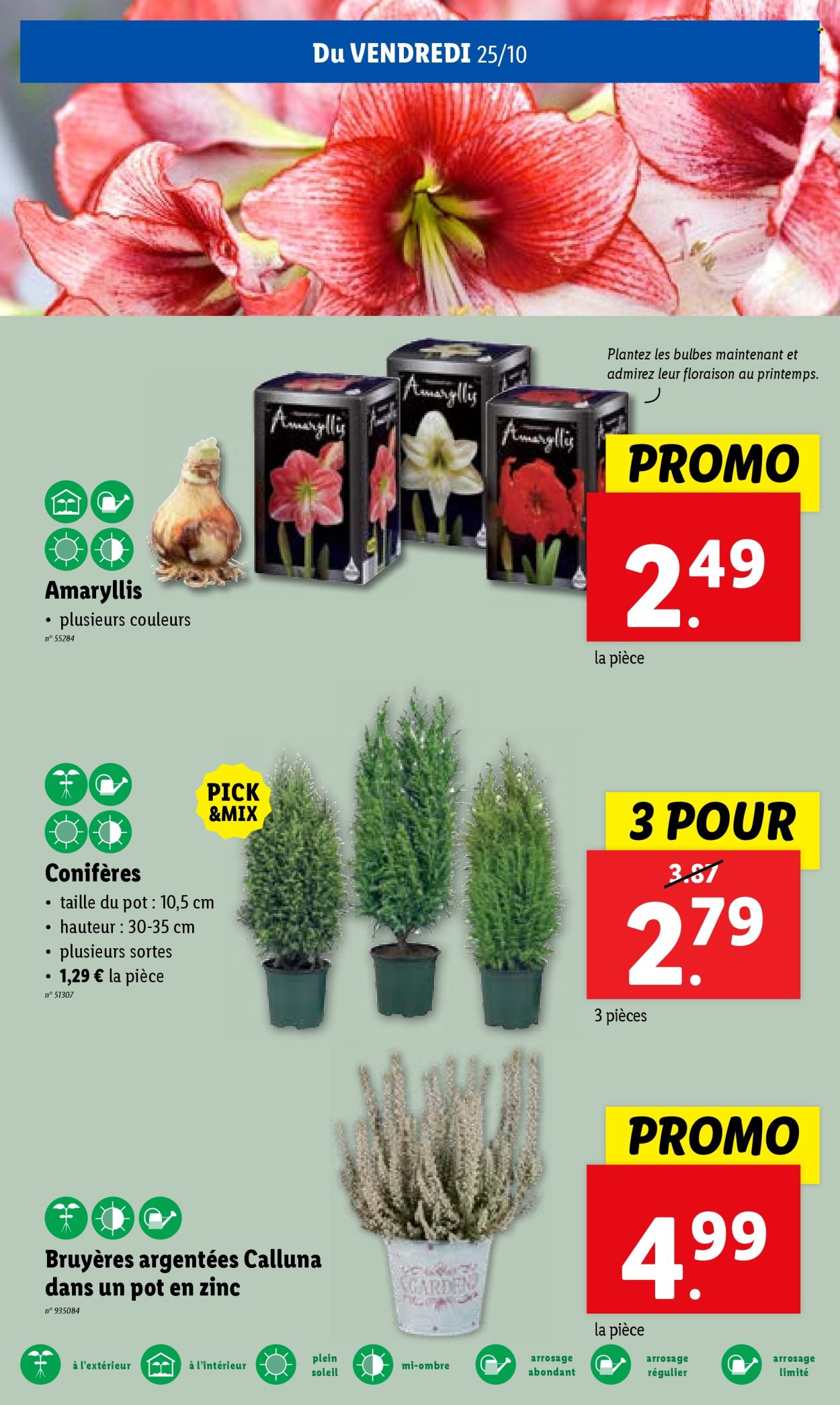 Catalogue Lidl - 23/10/2024 - 29/10/2024. Page 27