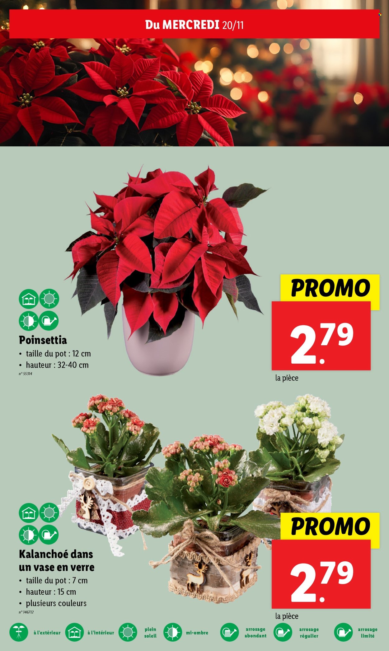 Catalogue Lidl - 20/11/2024 - 26/11/2024. Page 1