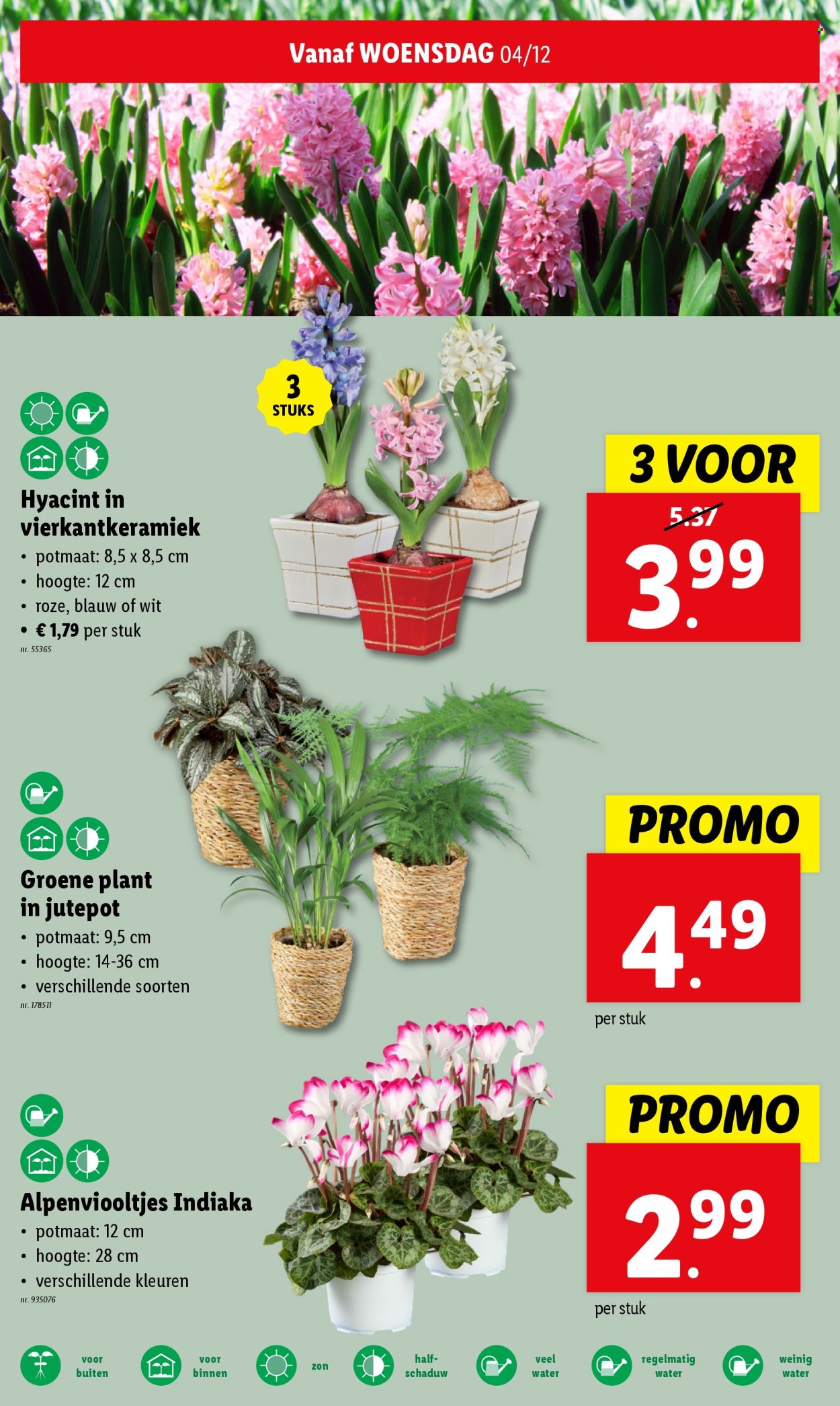 Catalogue Lidl - 04/12/2024 - 10/12/2024. Page 1