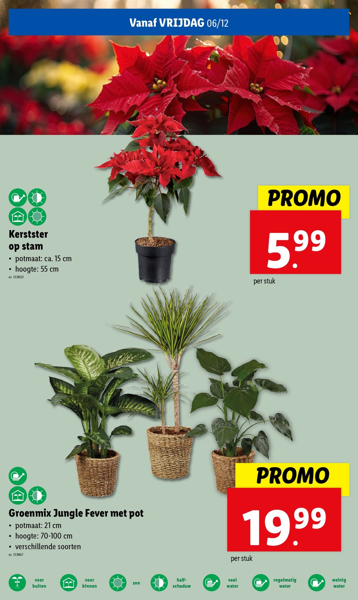 Catalogue Lidl - 04/12/2024 - 10/12/2024. Page 1