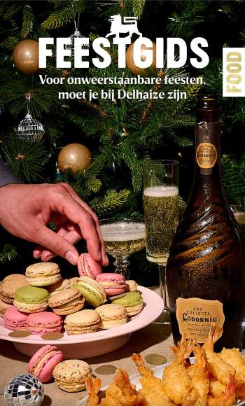 Catalogue Delhaize - 14/11/2024 - 31/12/2024.