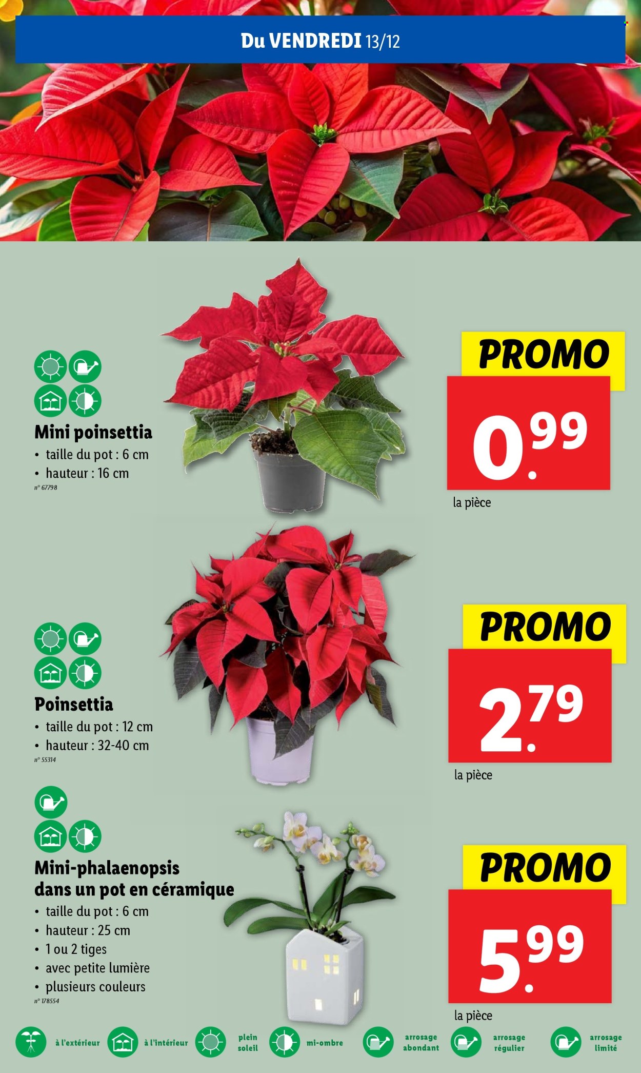 Catalogue Lidl - 11/12/2024 - 17/12/2024. Page 1