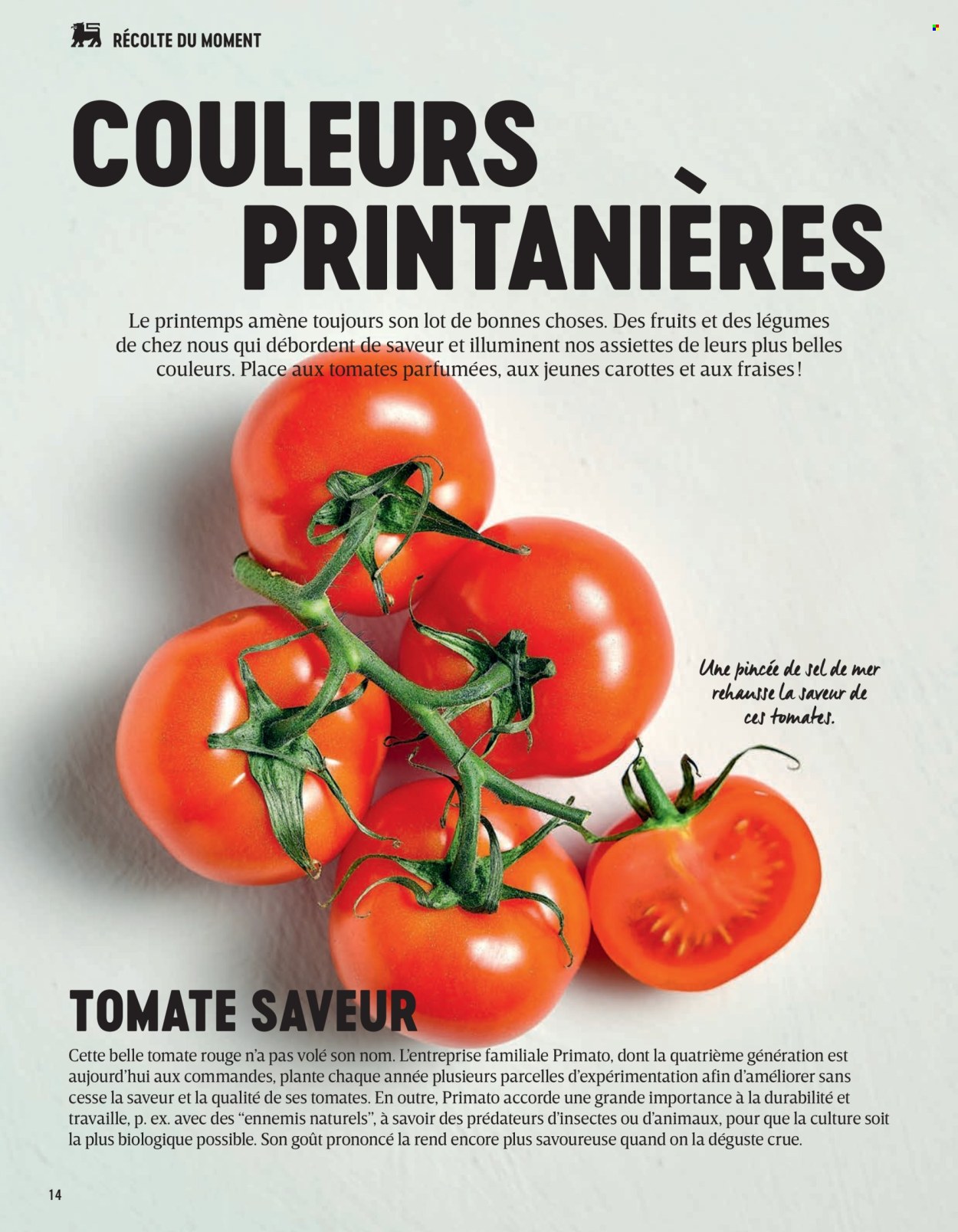 Catalogue Delhaize. Page 1