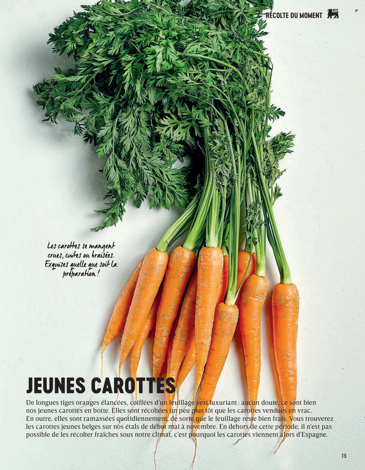 Catalogue Delhaize. Page 1