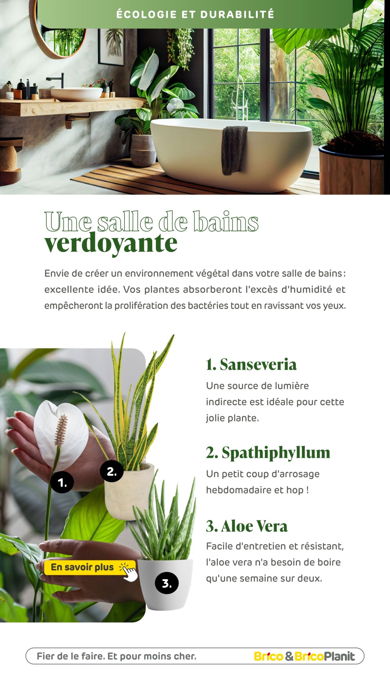 Catalogue Brico. Page 1