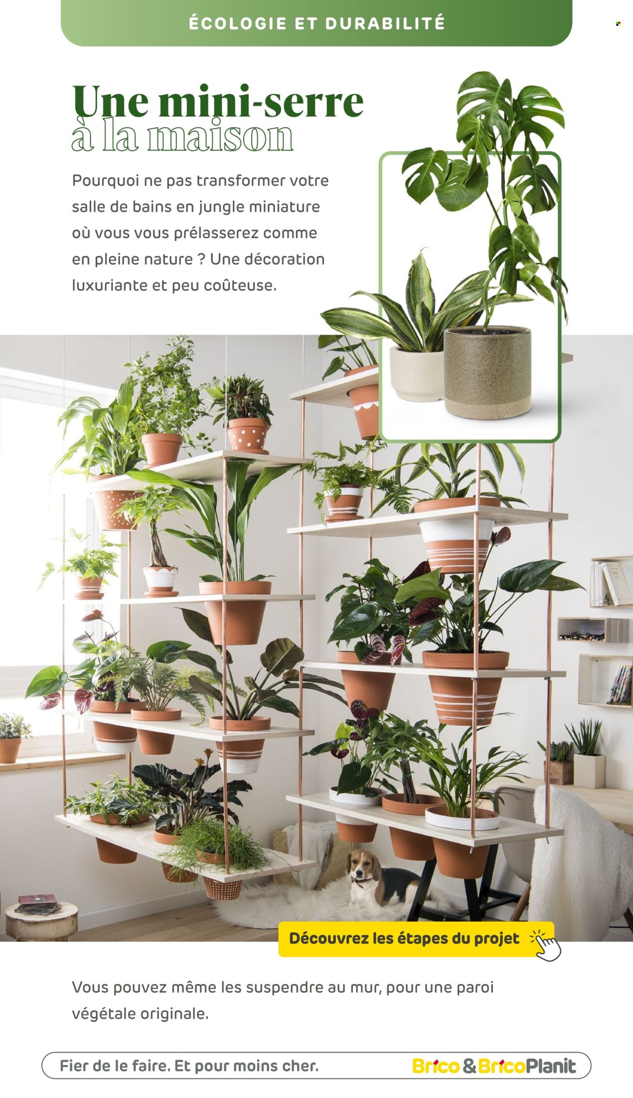 Catalogue Brico. Page 1