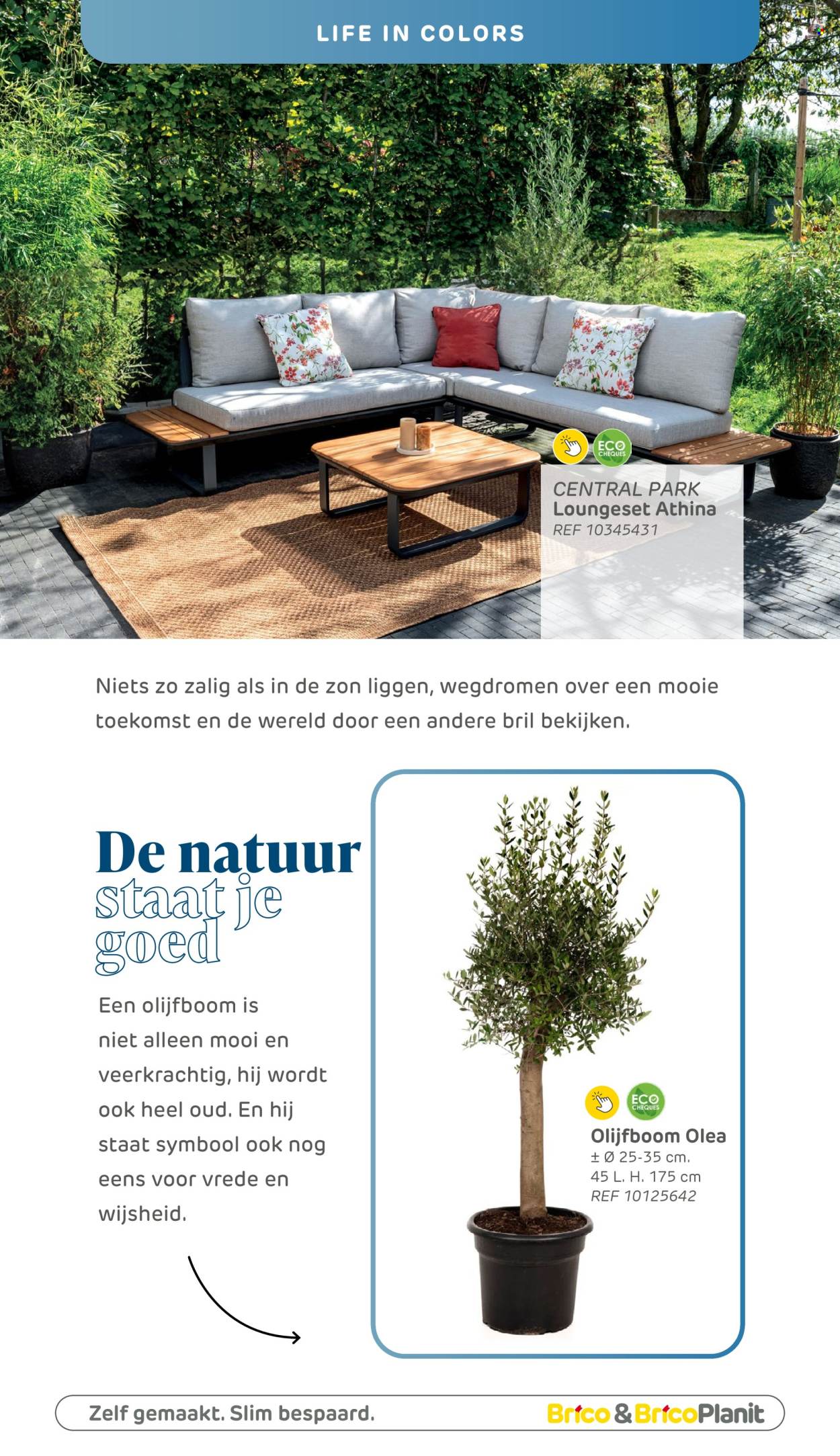 Catalogue Brico. Page 1