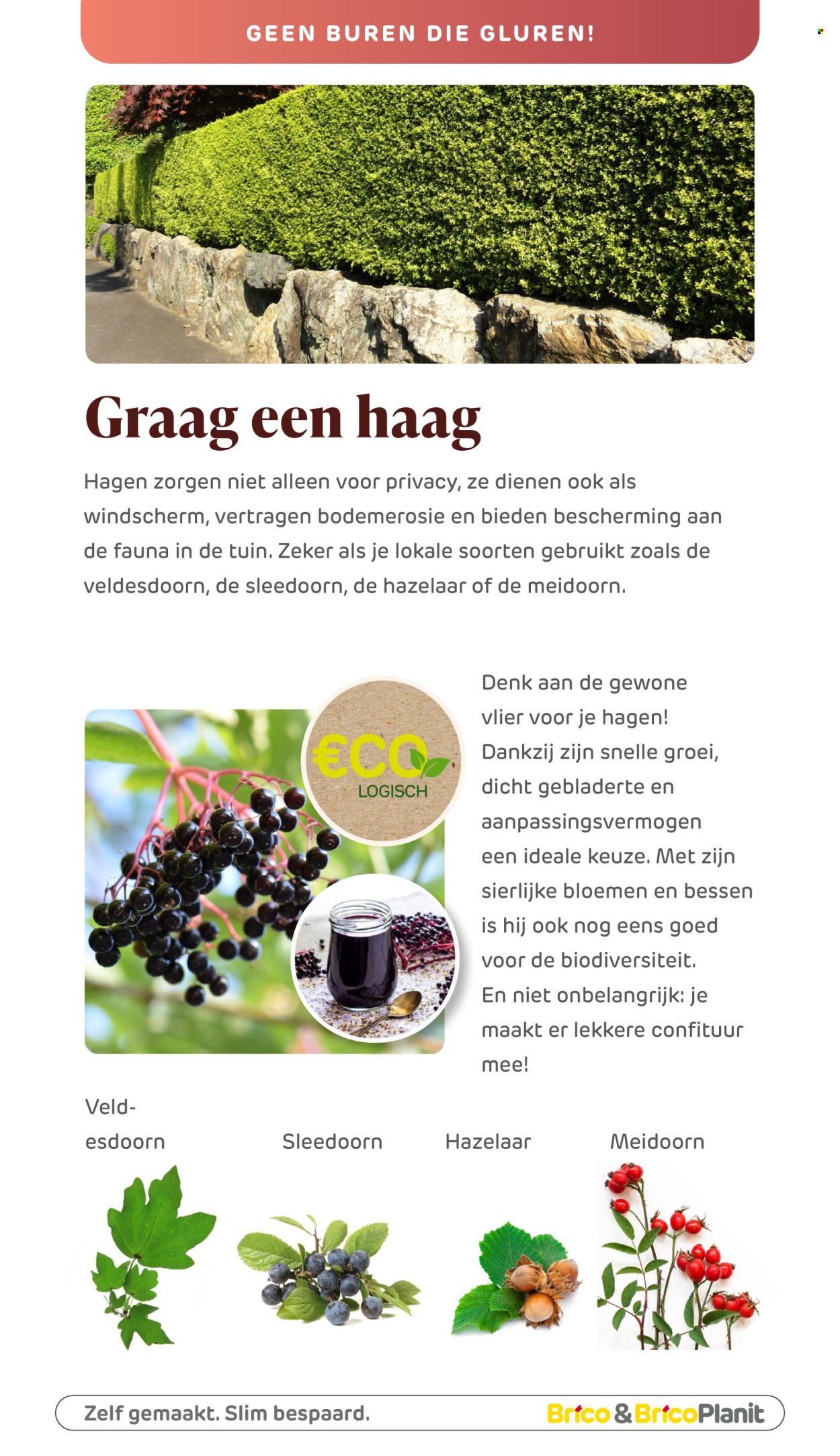 Catalogue Brico. Page 1