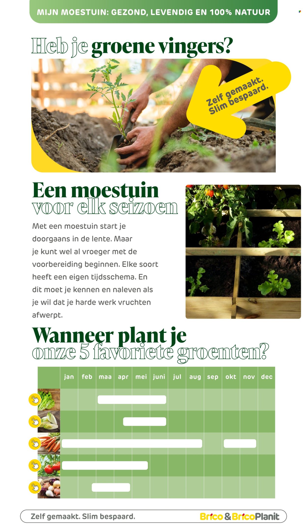 Catalogue Brico. Page 1