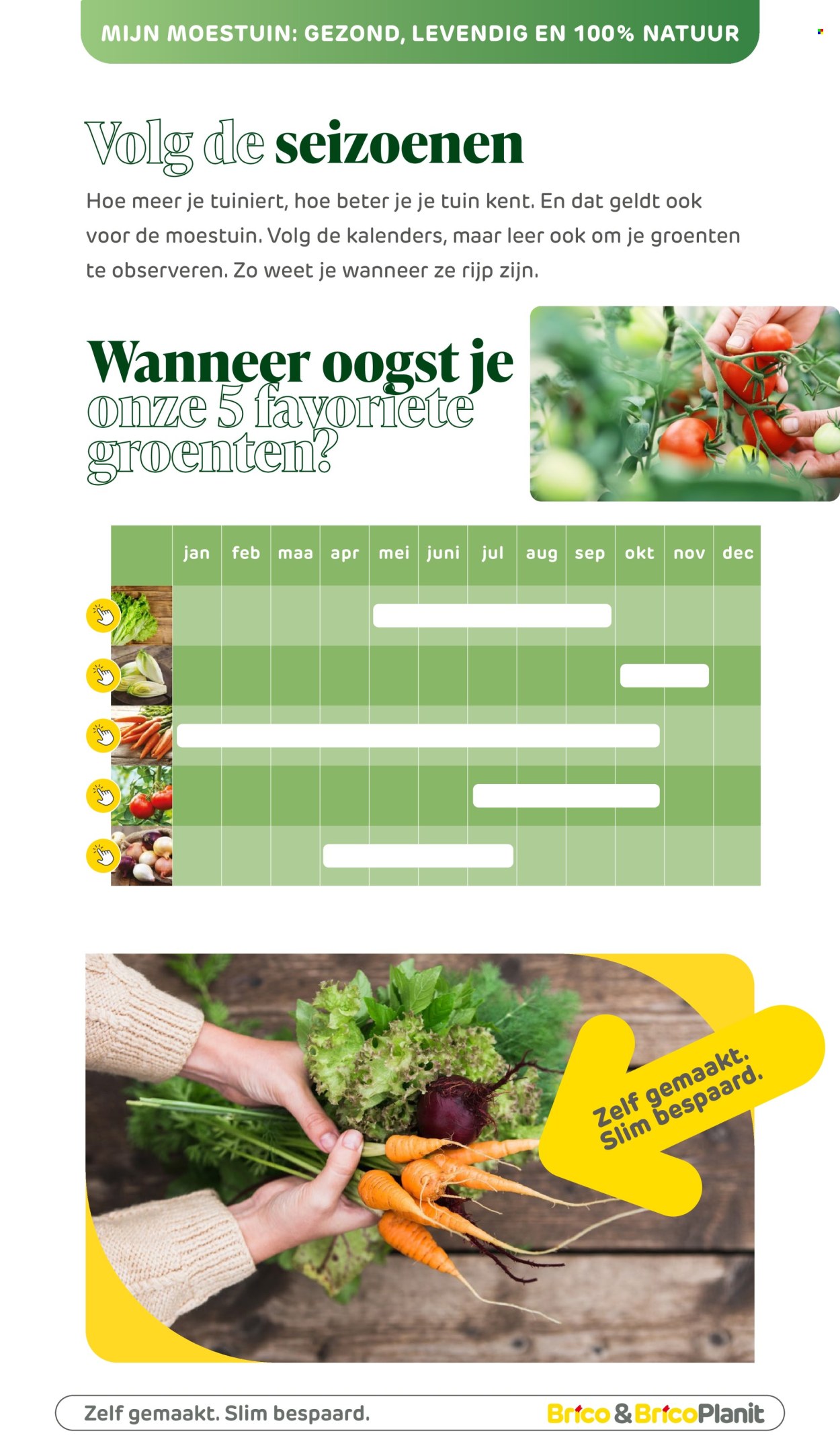 Catalogue Brico. Page 1