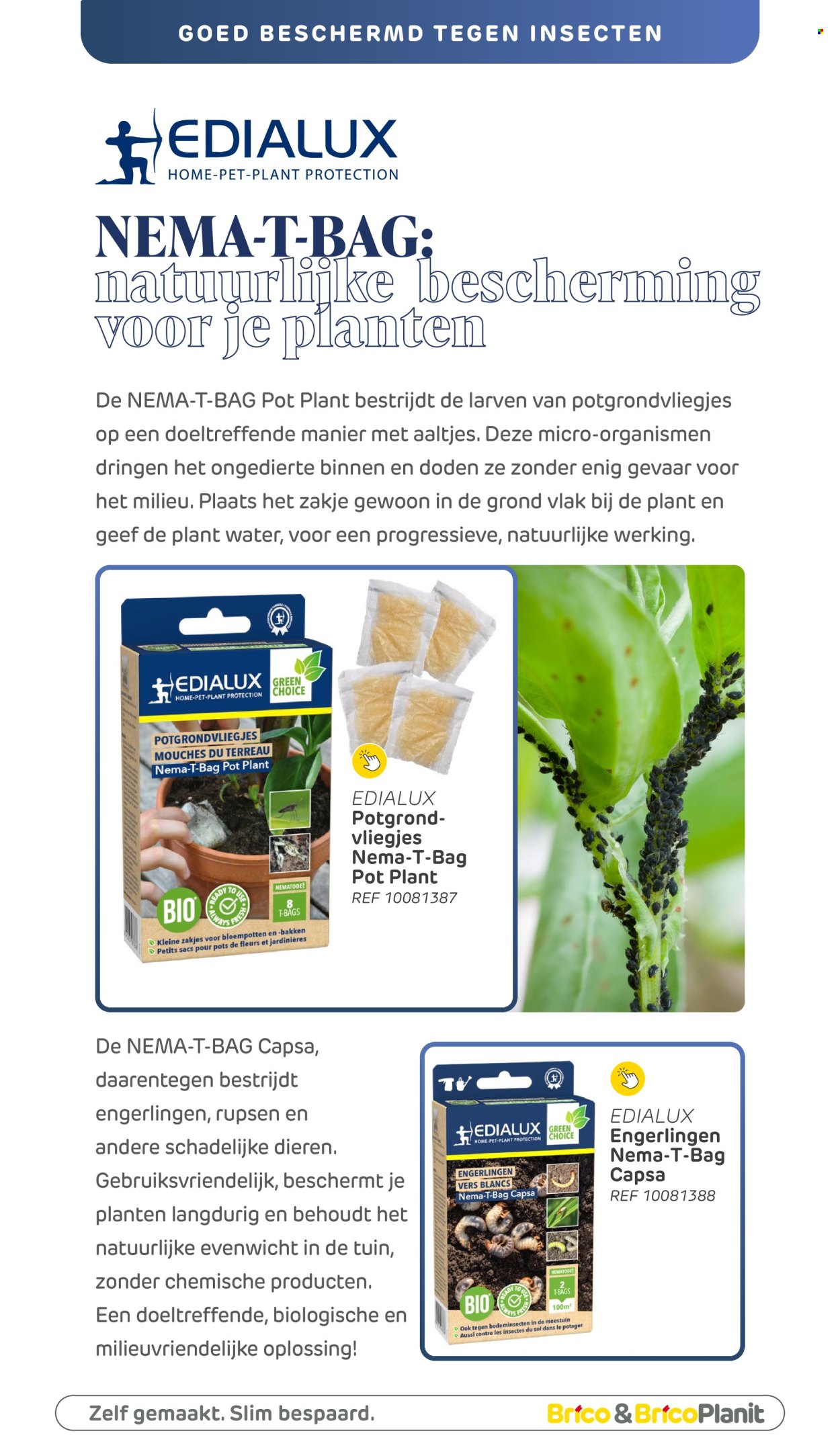 Catalogue Brico. Page 1