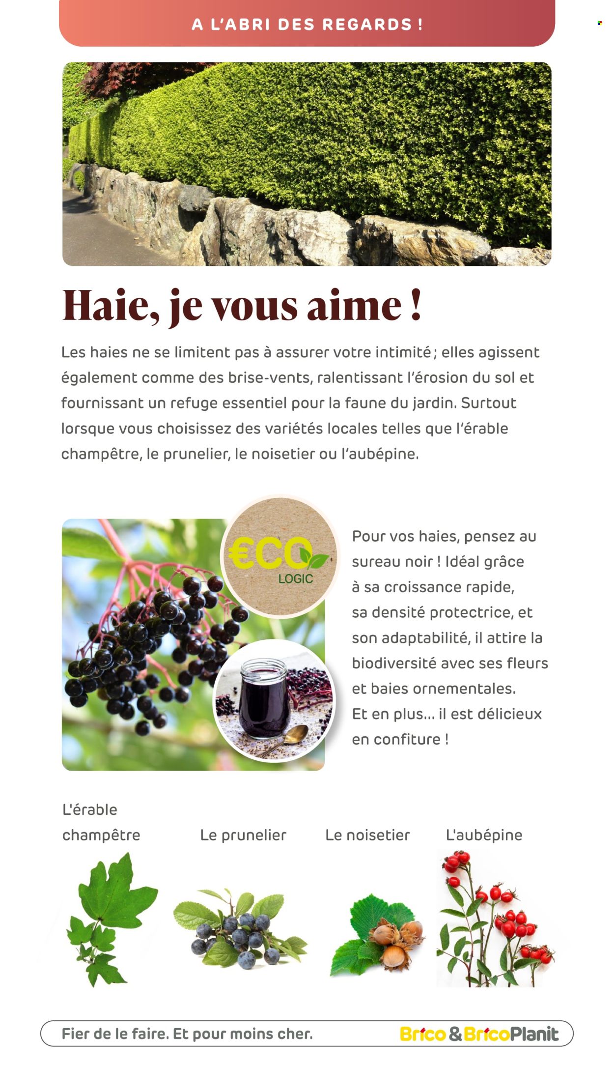 Catalogue Brico. Page 1