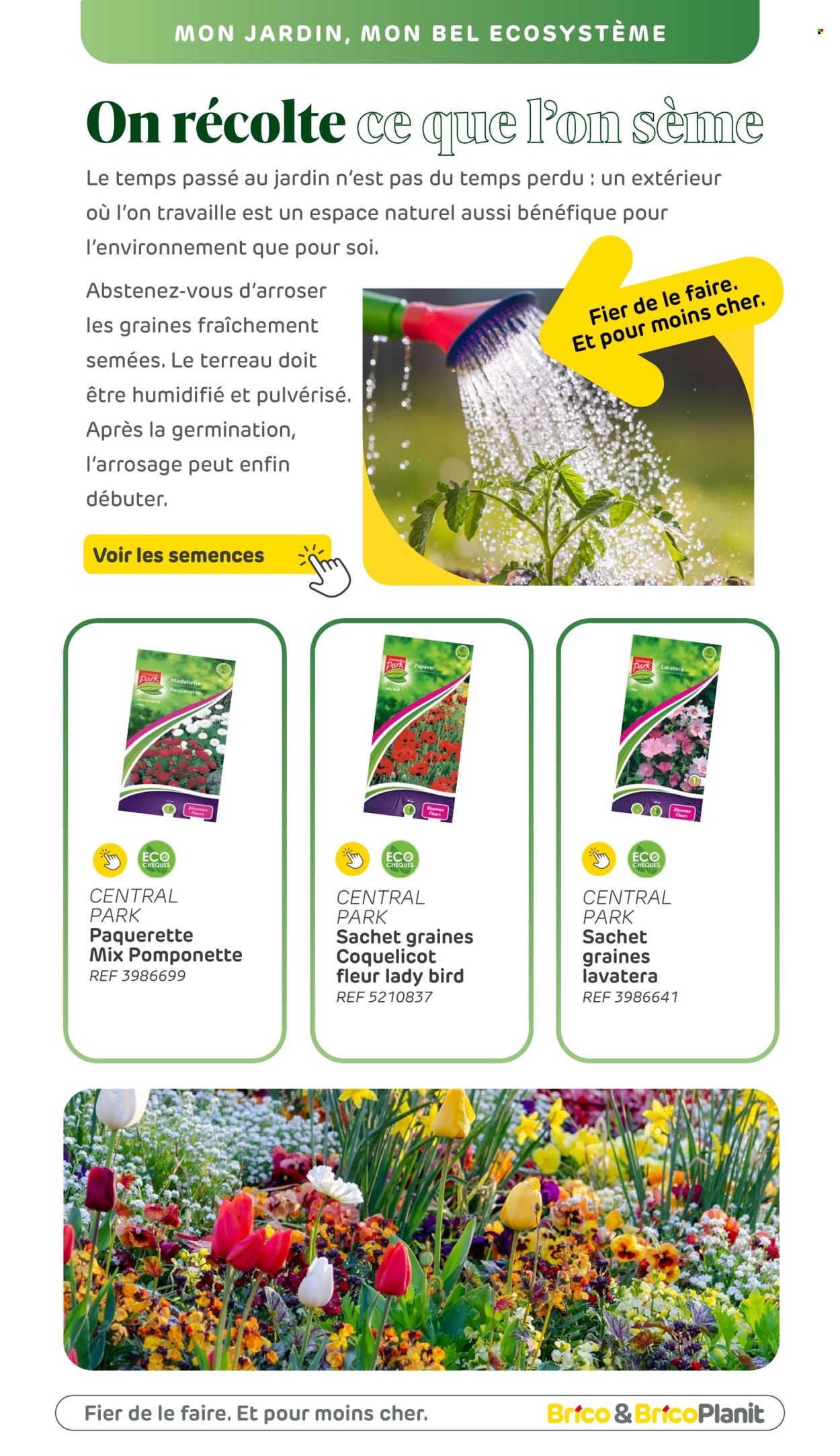 Catalogue Brico. Page 1