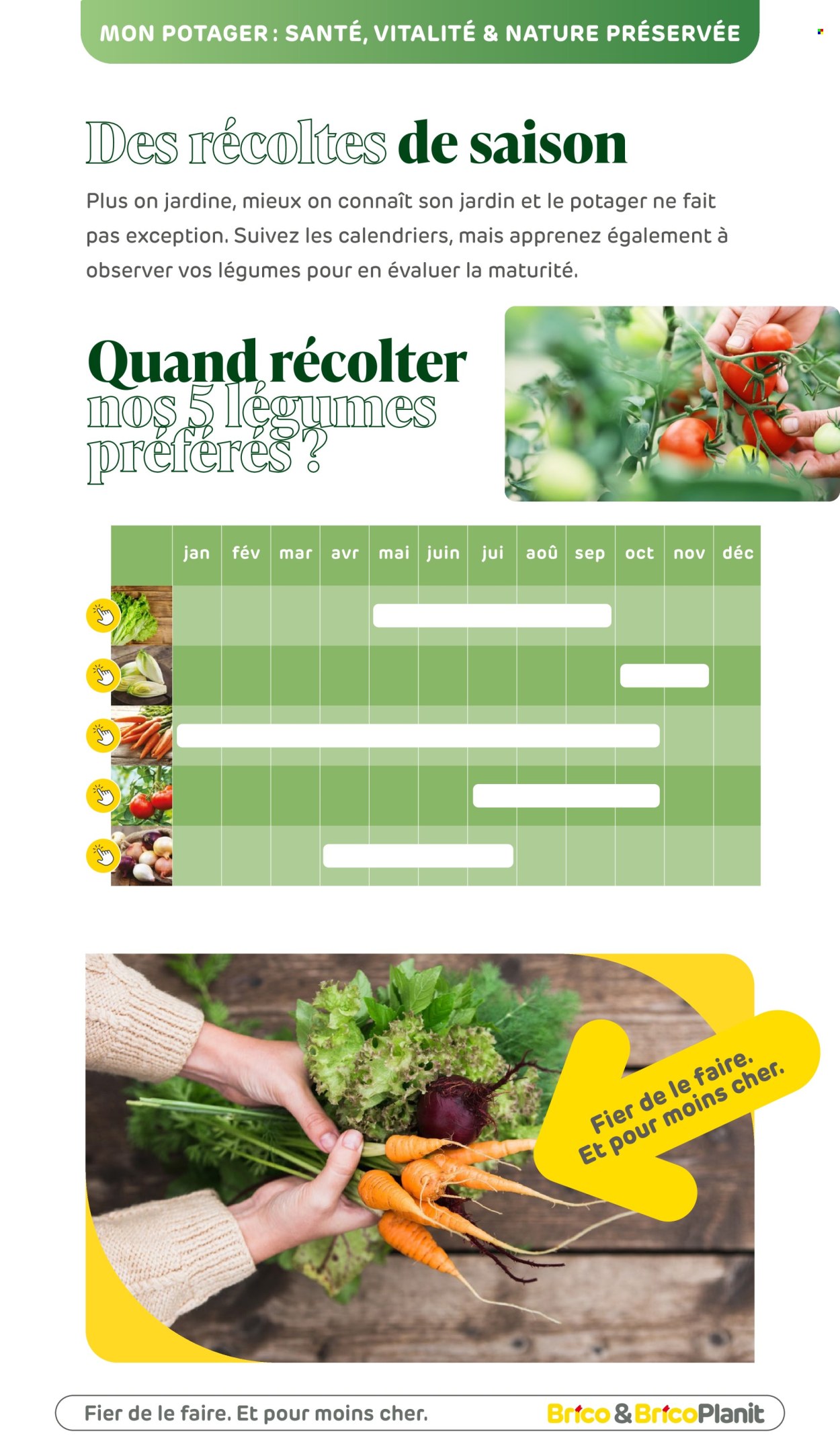 Catalogue Brico. Page 1