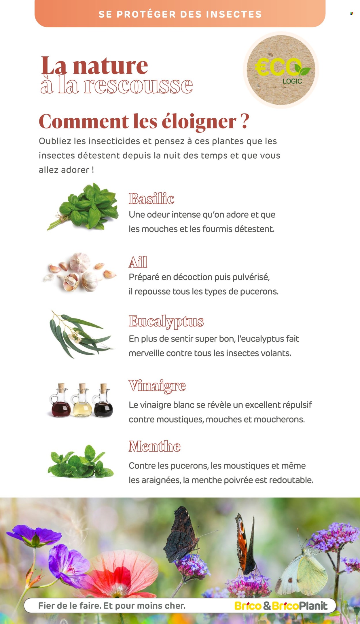 Catalogue Brico. Page 1