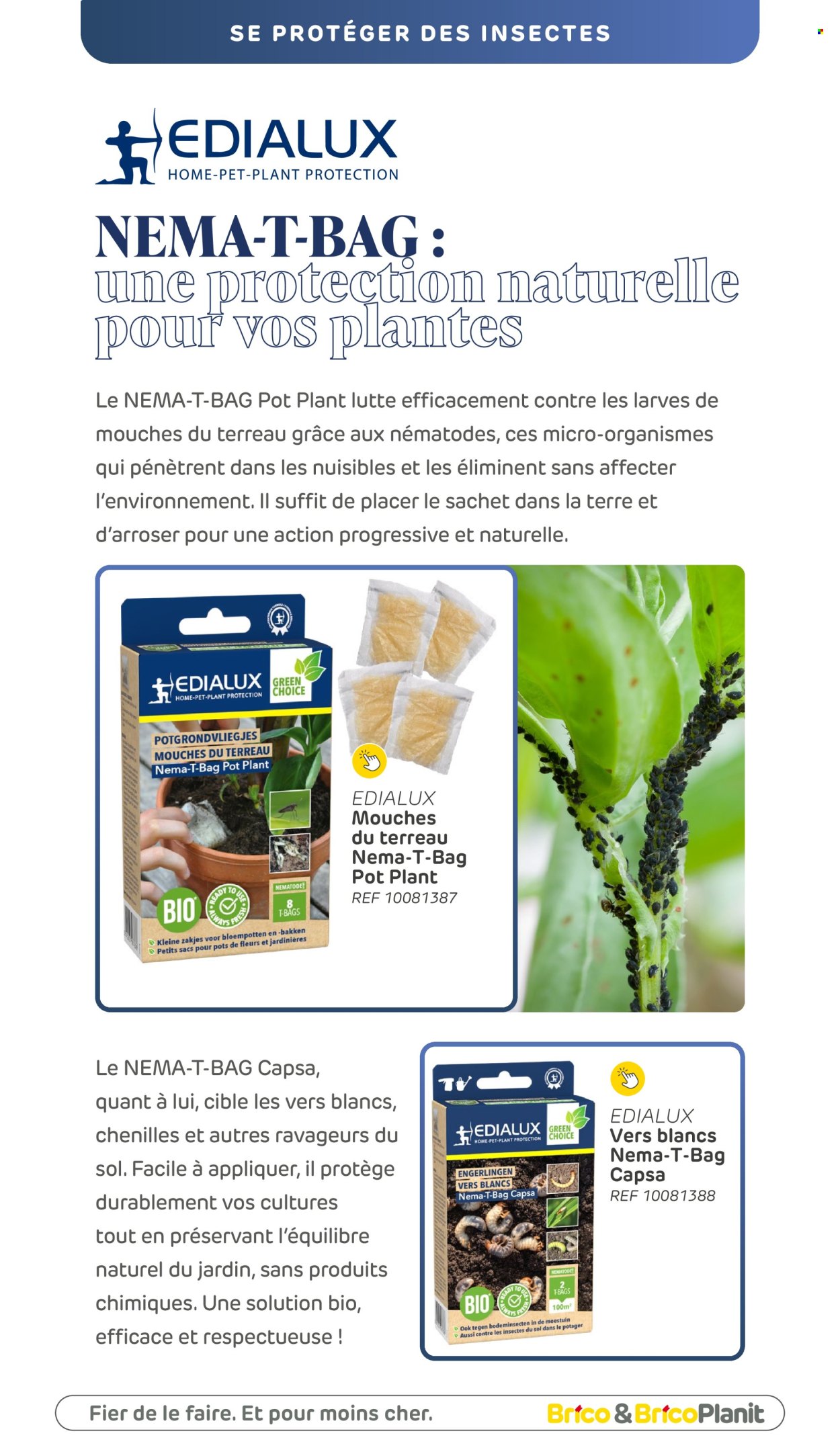Catalogue Brico. Page 1