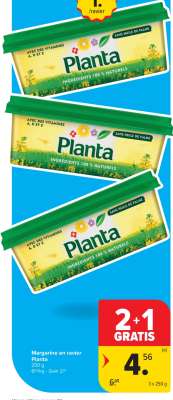 PLANTA