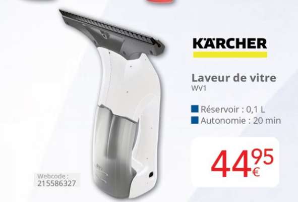 Kärcher Laveur de vitre WV1