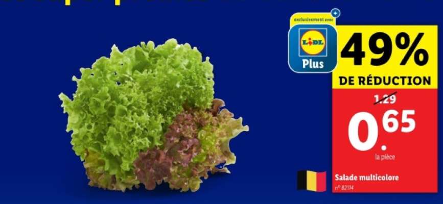 Salade multicolore