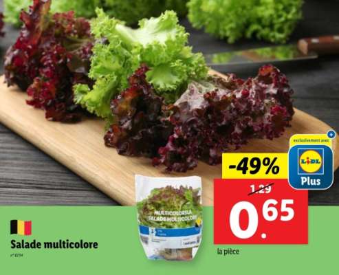 Salade multicolore
