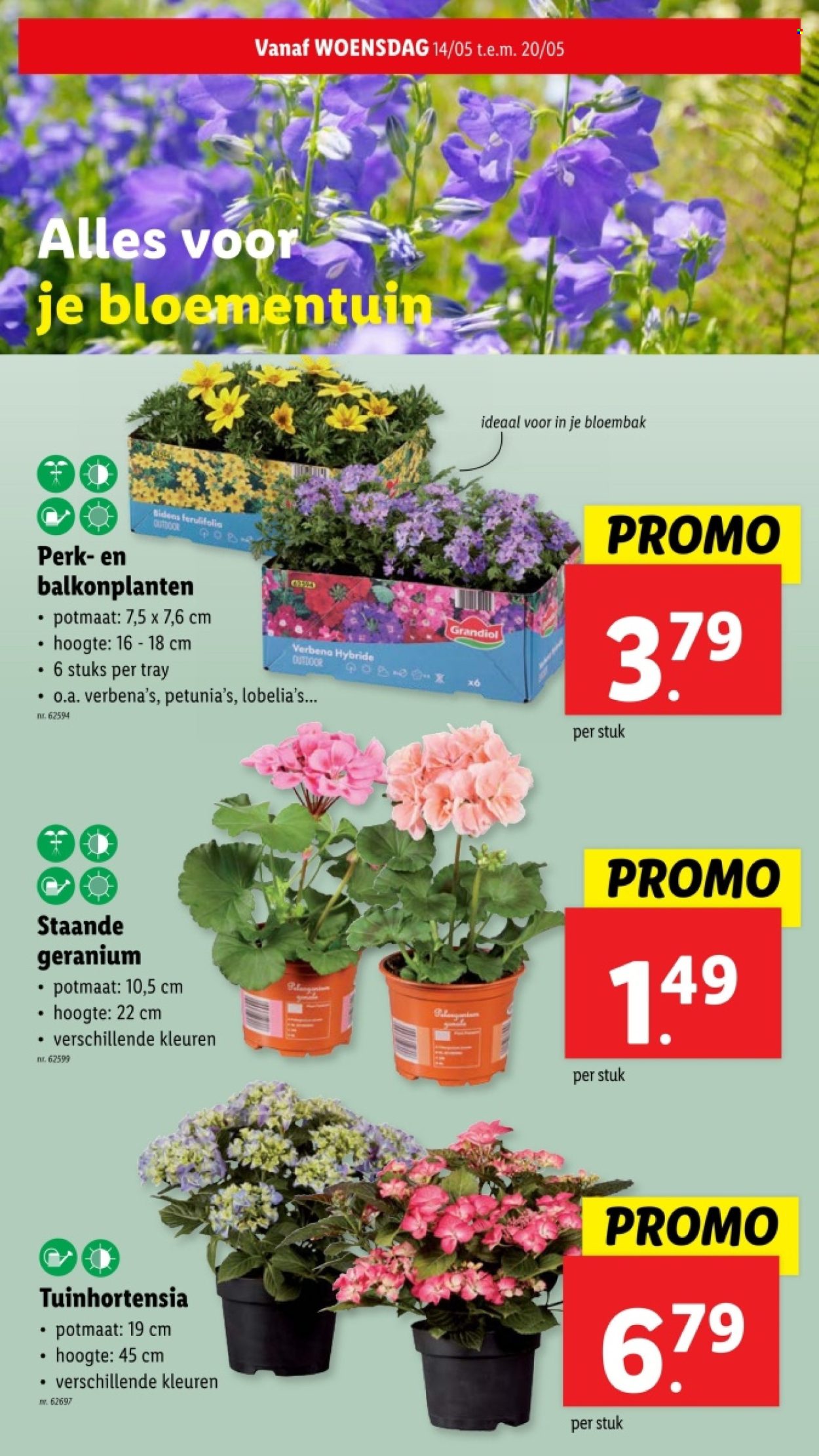 Catalogue Lidl - 14/05/2025 - 20/05/2025. Page 1