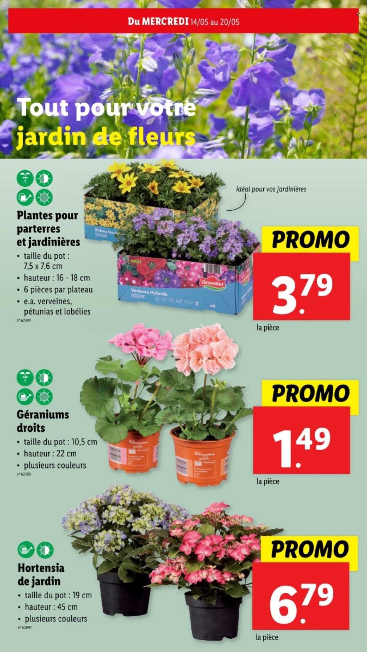 Catalogue Lidl - 14/05/2025 - 20/05/2025. Page 1
