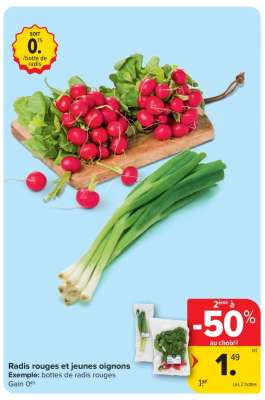 Radis rouges et jeunes oignons